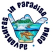 Adventures In Paradise Oahu