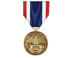The American Defense Service Commemorative Medal.