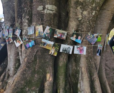 Photos clipped to string between tree trunks.