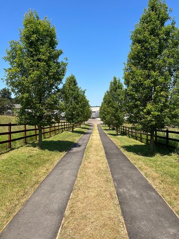 Estate management outside of Bath