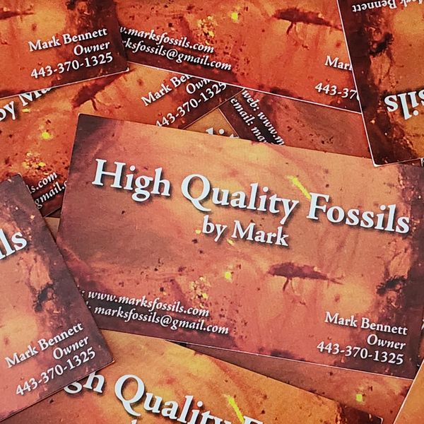 Welcome to High Quality Fossils by Mark