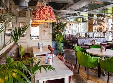 Cozy restaurant interior with green chairs and lush plants.