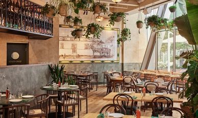 Cozy cafe interior with wooden tables, hanging plants, and natural light.