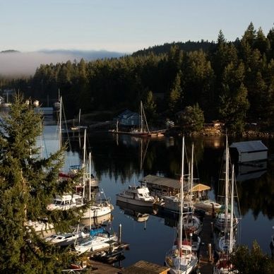 vancouver island sunshine coast canada british columbia ferry inland passage  duncan salmon lund