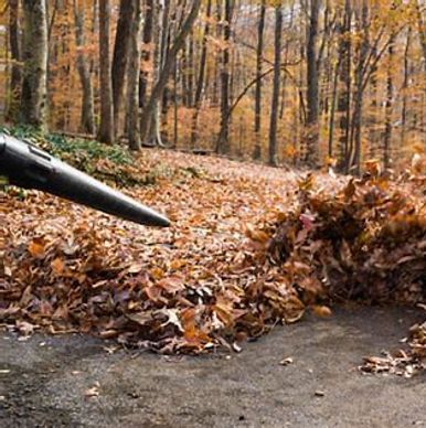 Hayward Wisconsin yard maintenance law mowing fall cleanup leaf blowing 