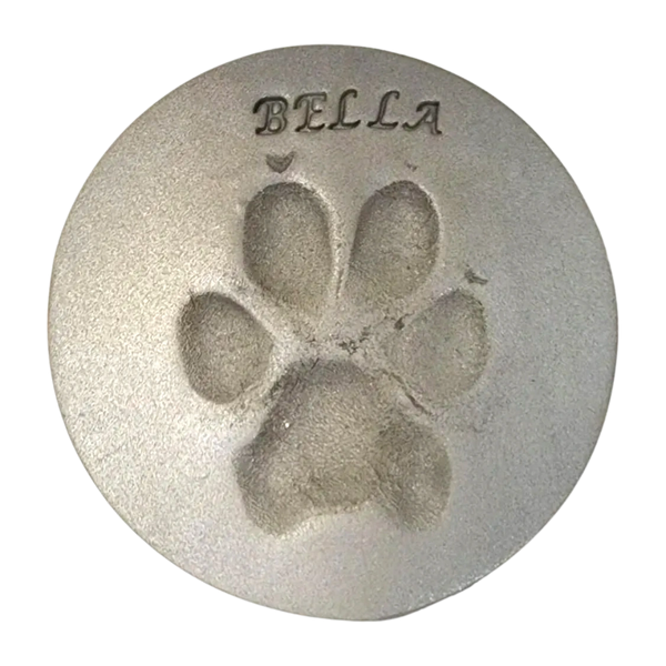 Paw print of dog after dog training classes in Maynard MA