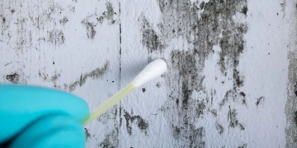 Mold inspections in Los Angeles County, Orange County, San Bernardino County and Riverside County