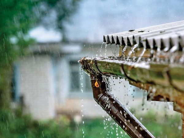 Why testing for mold is not recommended in rainy weather
