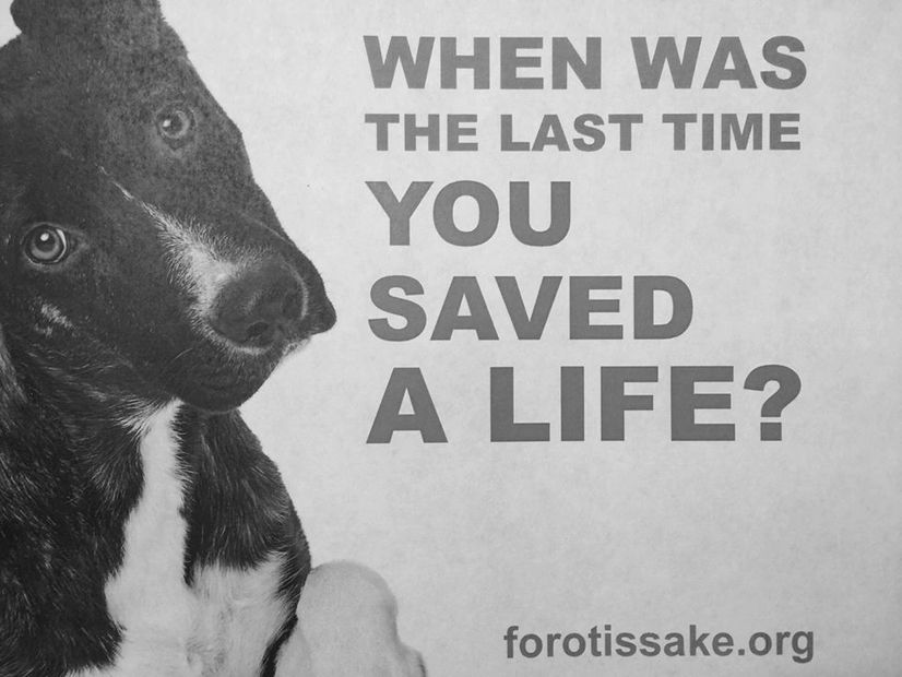 When was the last time you saved a life? 