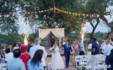 Wedding DJ Services