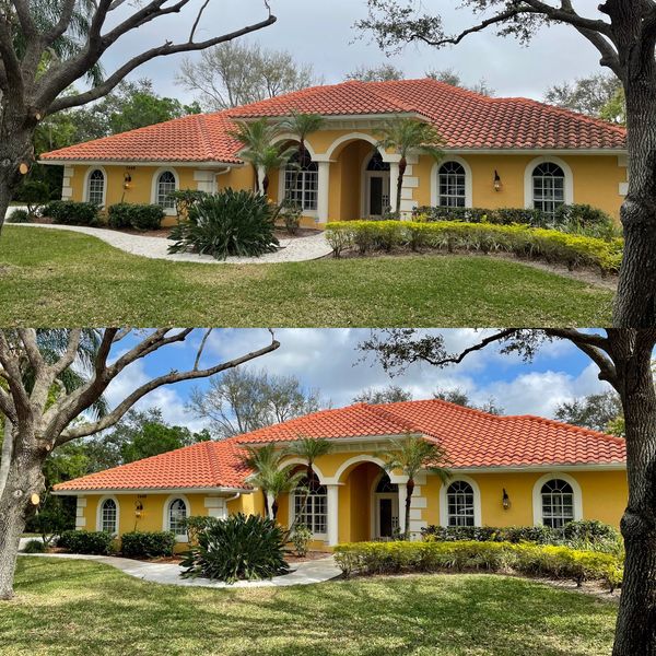 Gutter and roof cleaning