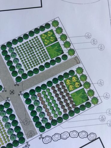 A parterre garden. Always pleasing to the eye.