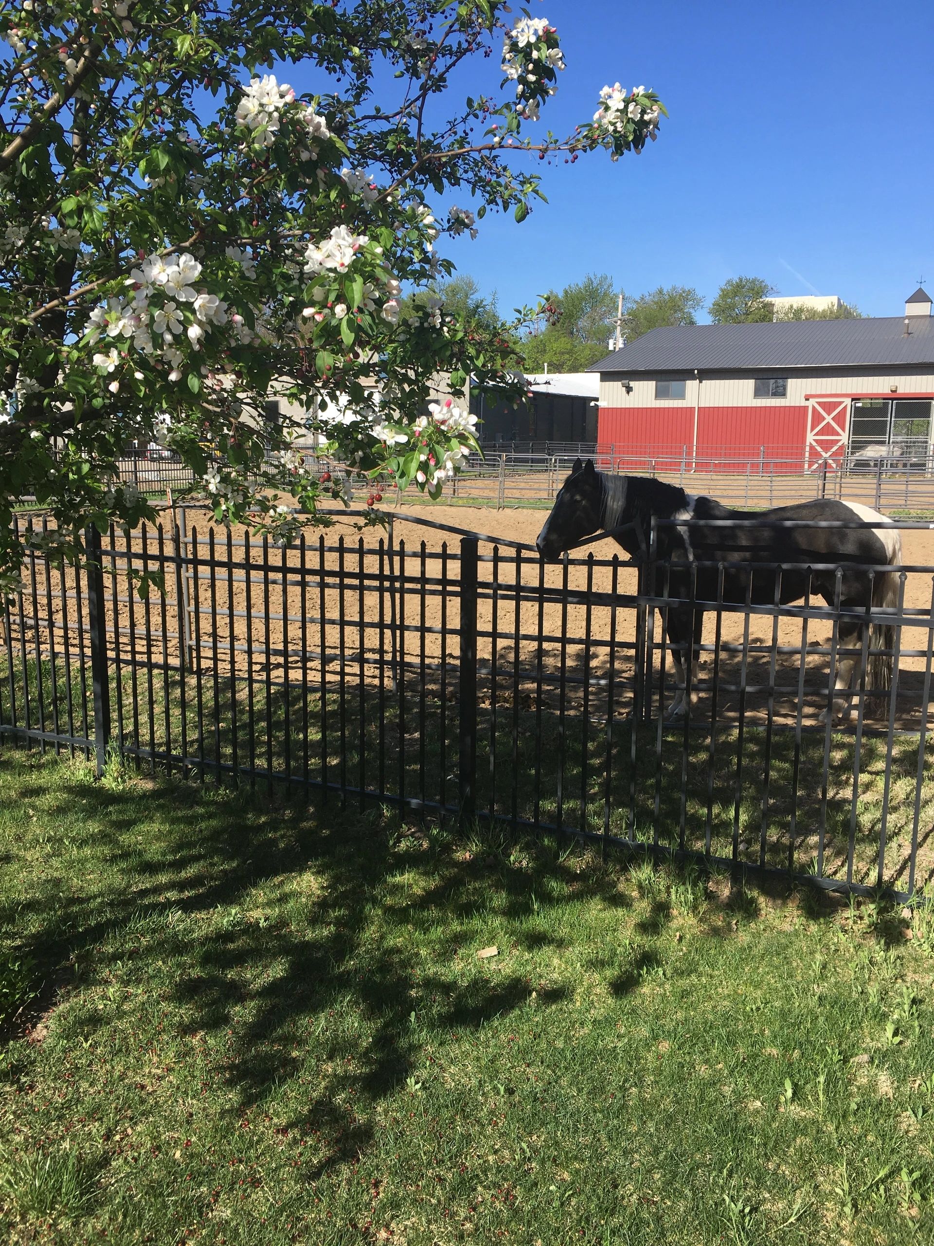 Omaha Mounted Foundation Omaha Mounted Foundation