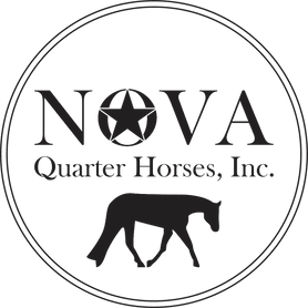 Nova Quarter Horses, Inc.