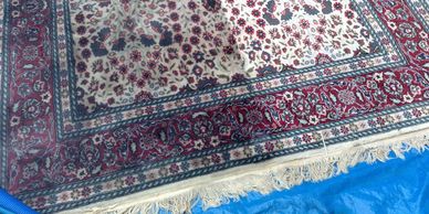 Professional rug cleaning nambour