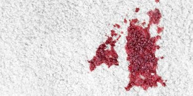 Nambour professional stain removal services Alpha fresh