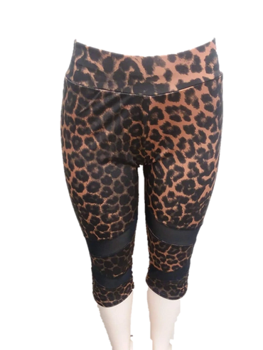 Women's Leggings
Wholesale PK of 12 (Capri ASST Colors)
Size: S M L XL
$39.00 (dzn)
Item: JWL156