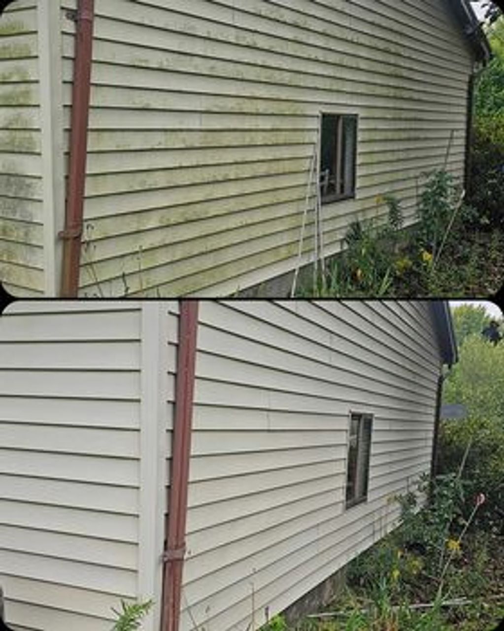 House Washing Pressure Washing Roof Washing Gutter Cleaning Driveway Cleaning Patio Cleaning