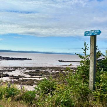 Signpost for Cape Maringouin Hiking Trail at coastal overlook.
