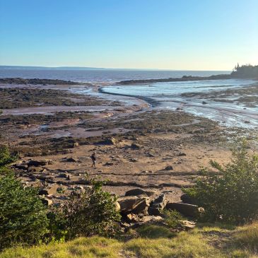 Tide pooling at a rocky beach during low tide under clear blue sky.