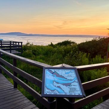 Sunset view from a boardwalk overlooking a lush coastal area.