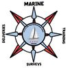 No Salt Surveyor logo - marine surveyor serving Chicago and the Great Lakes