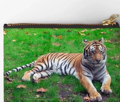tiger, pouch, zipper, redbubble, photography