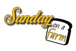 Visit Grilled Cheese Life on Facebook to see a new video each Sunday.