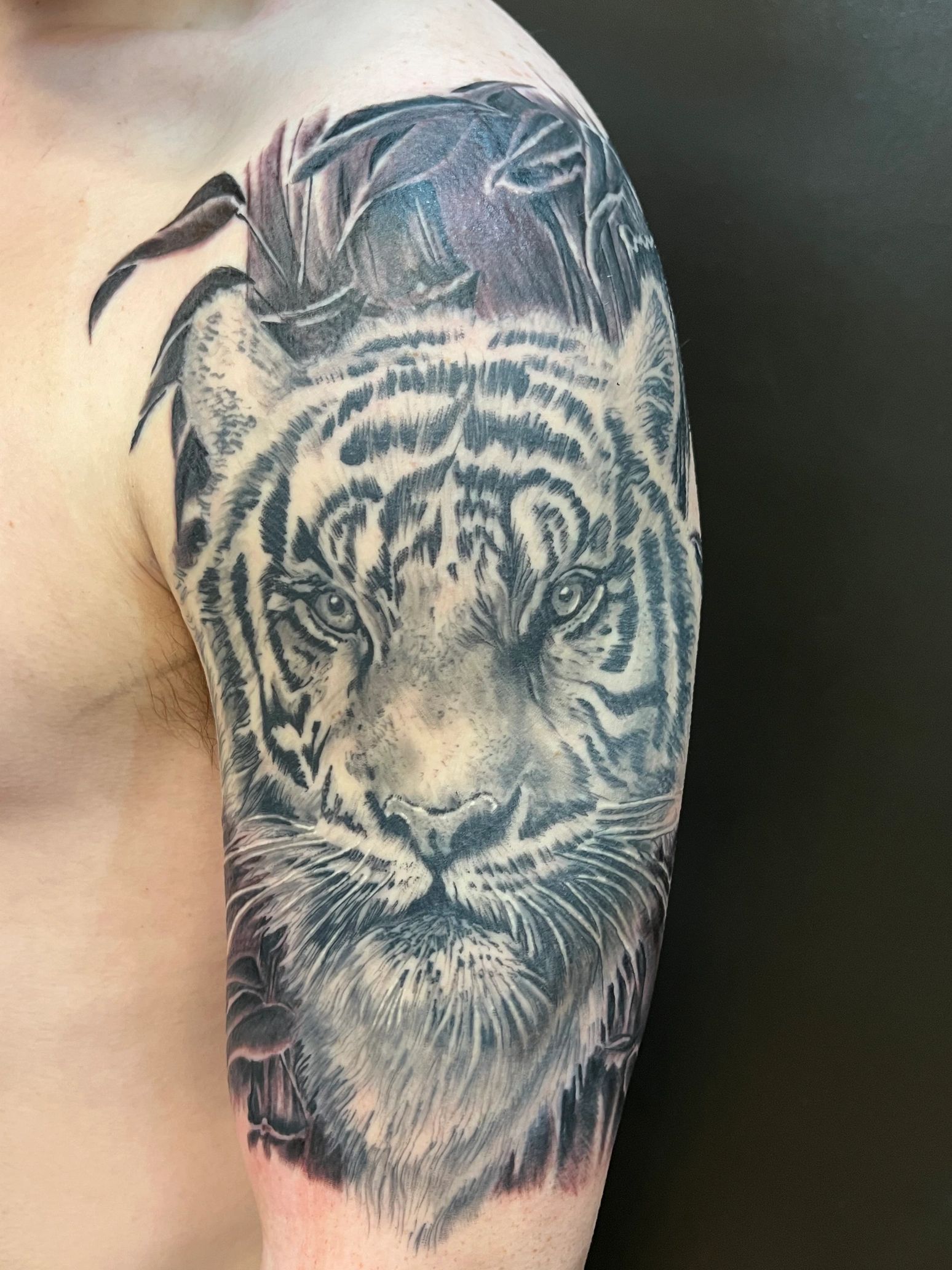 Tiger tattoo, bamboo tattoo, half sleeve tattoo, realism tattoo