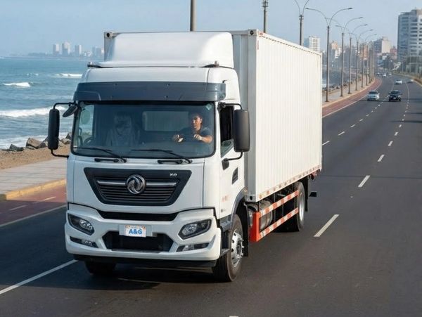 Camión blanco circulando por carretera costera.