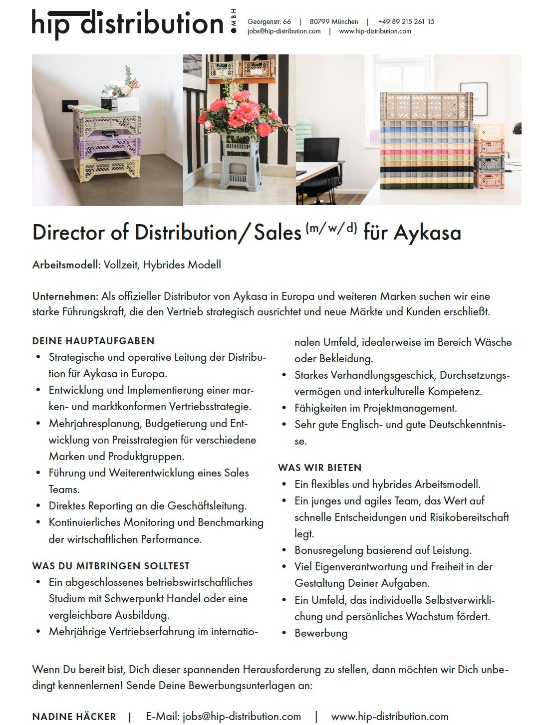 Director of Distribution/Sales (m/w/d) für Aykasa