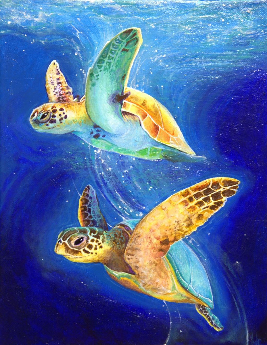 two sea turtles frolicking underwater with stars