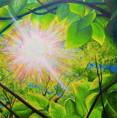 The sun glowing through tree branches.