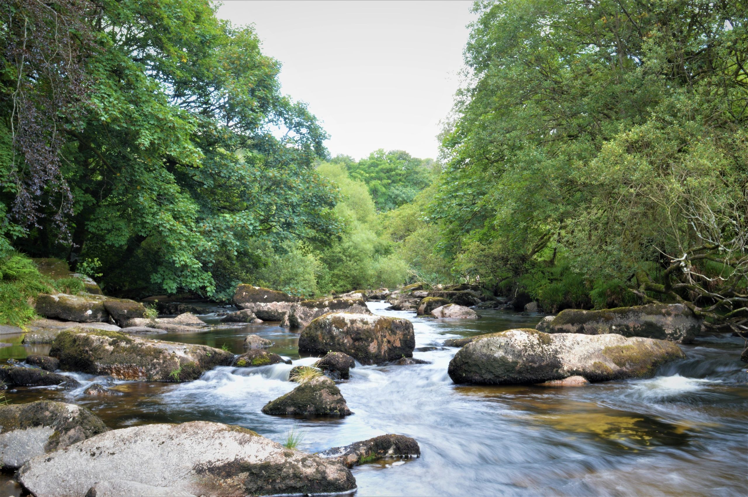 The River Dart