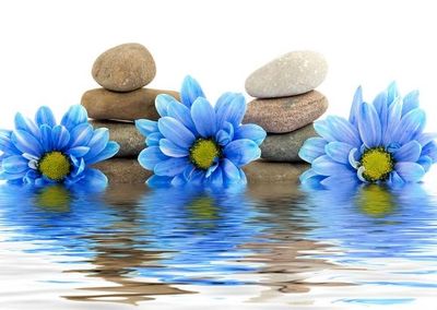 Blue flowers and stacked stones reflecting over water