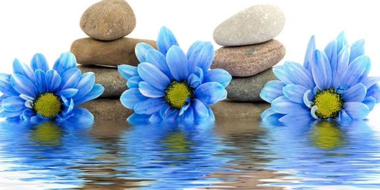 Blue flower in front of grey stones behind tranquil water