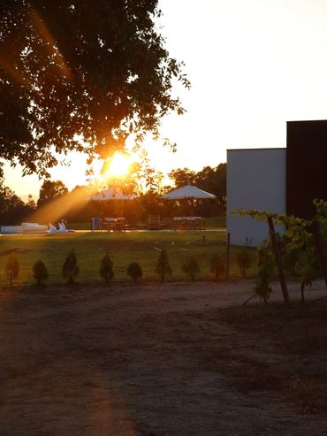 Sunset casting warm light over a garden with patio furniture and umbrellas.
