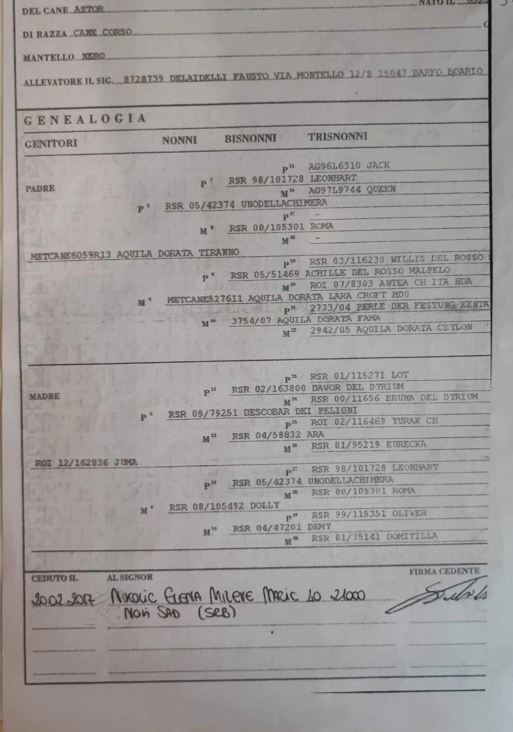 Astor page 2 pedigree