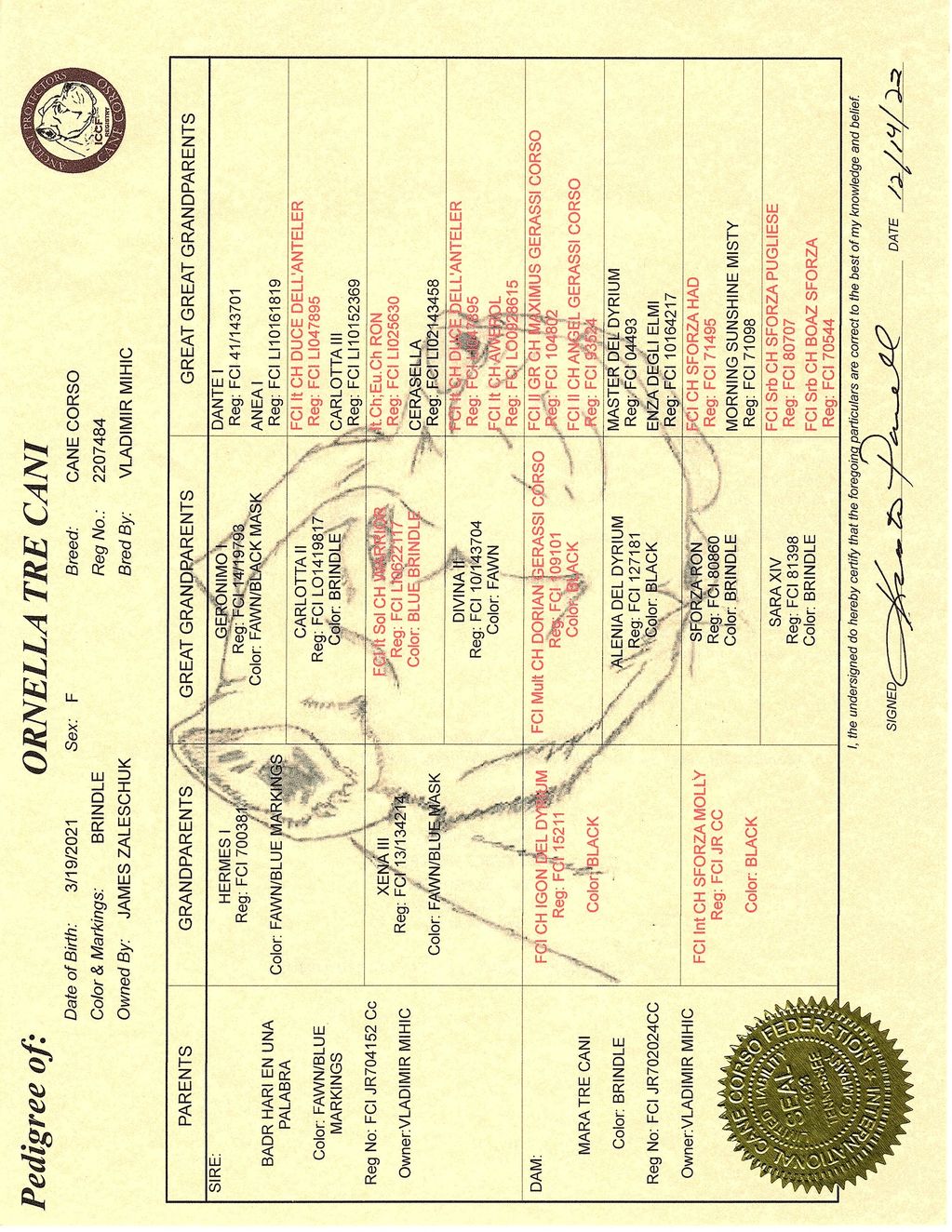 Pedigree of Ornella Tre Cani