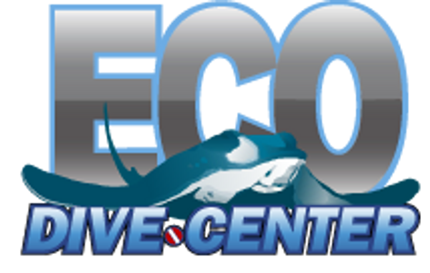 Eco Dive Center - Southern California's #1 Dive Shop