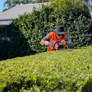 nowra's best gardening and lawn service