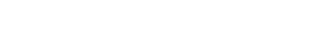 Anger Logistics Solutions & Consulting Inc.