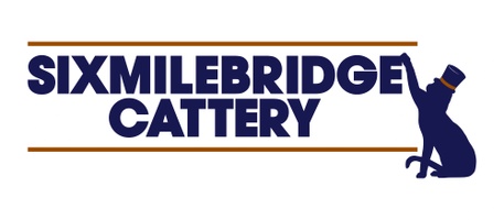 Sixmilebridge Cattery