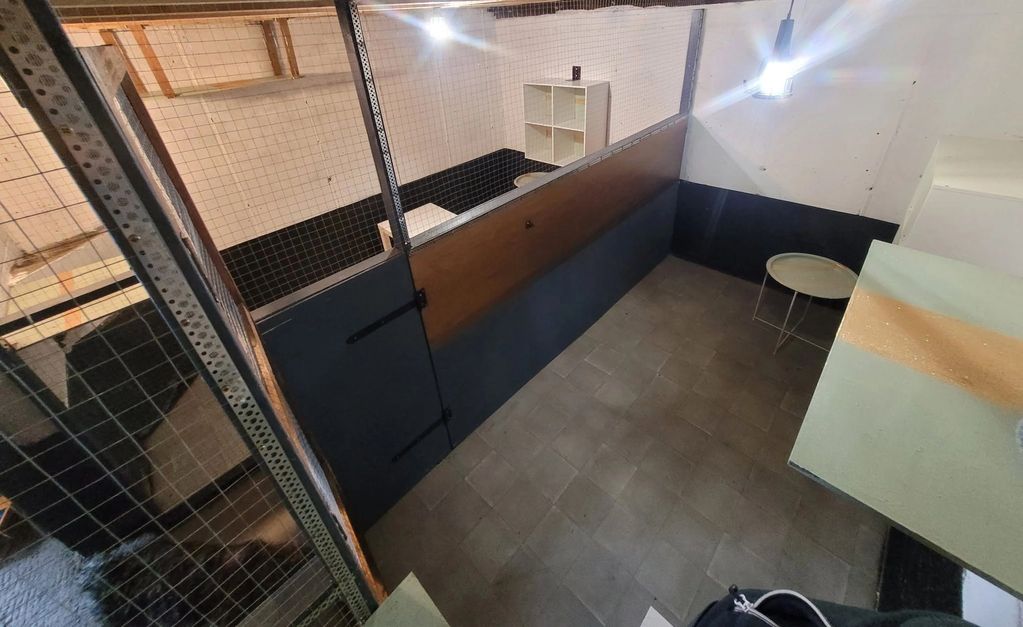 The standard lodge:
6 feet X 12 feet. Hosts up to 2 cats
