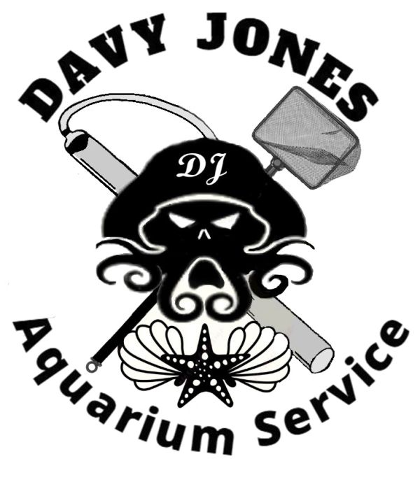 Logo for Davy Jones Aquarium Service with fishing and aquarium tools.