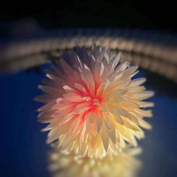Close-up of a soft, glowing artificial flower with warm colors.
