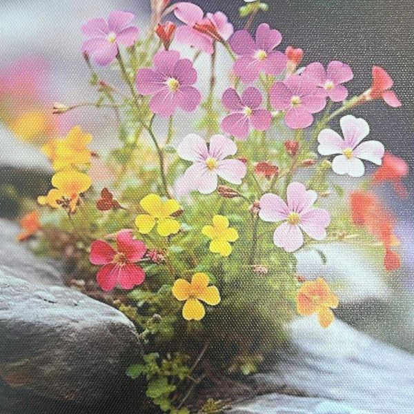 Colorful flowers blooming between gray stones.
