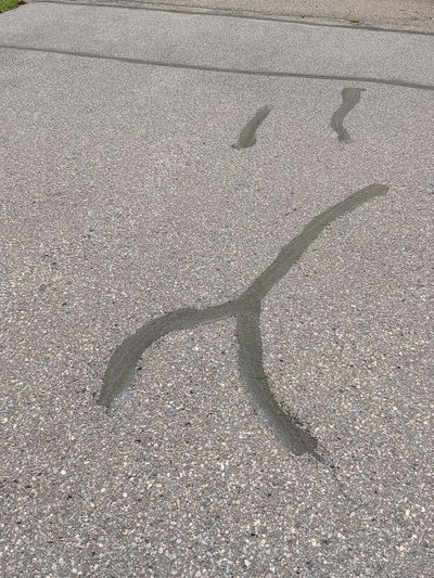 Residential driveway asphalt crack repair in Northfield, MN