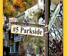 social placement, coming of age, family saga