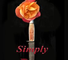 women action, mystery crimes, psychological resolve